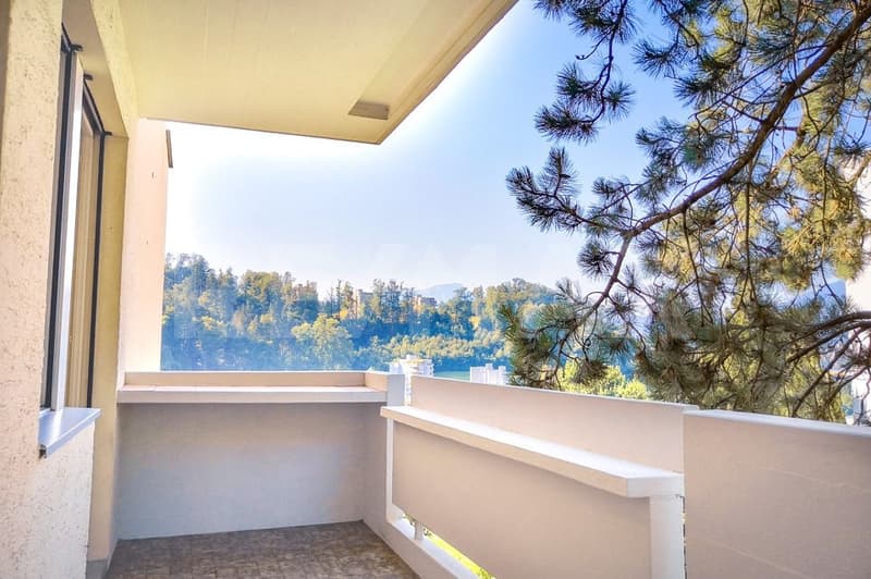 Appartement 4½ pièces avec vue sur le lac et les montagnes (8)