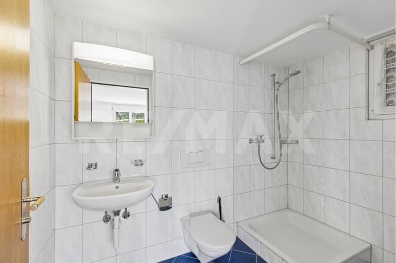 Ampia casa a schiera di 8½ locali in posizione tranquilla (6)