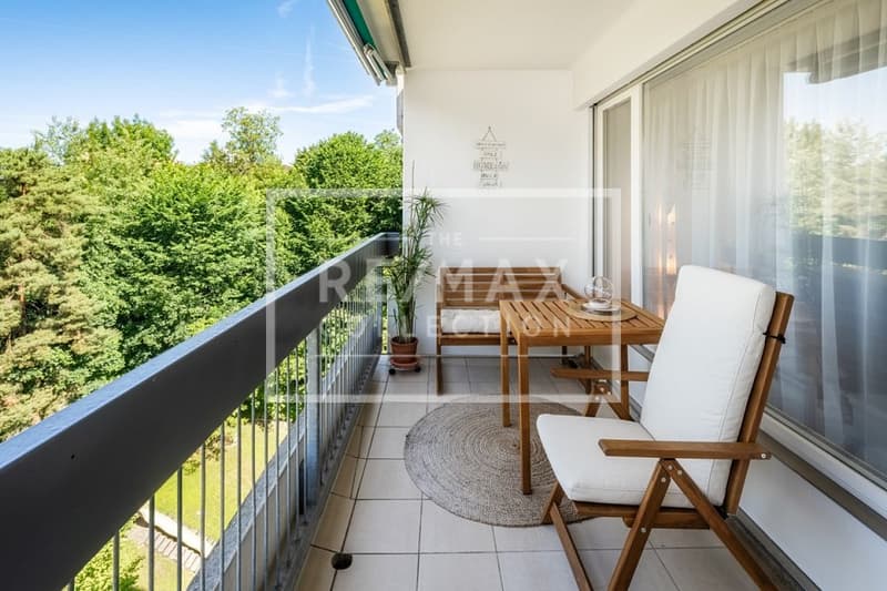 Appartement de 4,5 pièces modernisé avec terrasse sur le toit spectaculaire (7)