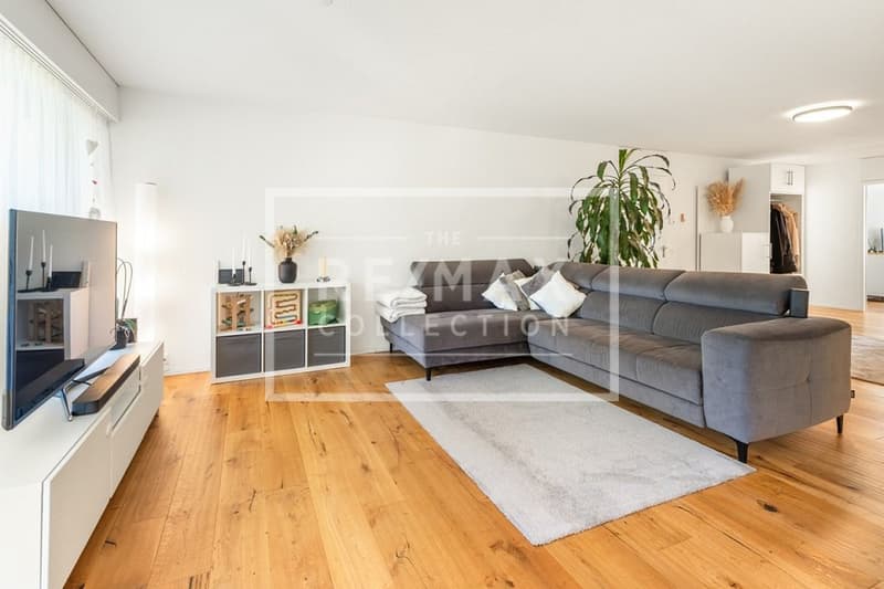Appartement de 4,5 pièces modernisé avec terrasse sur le toit spectaculaire (3)