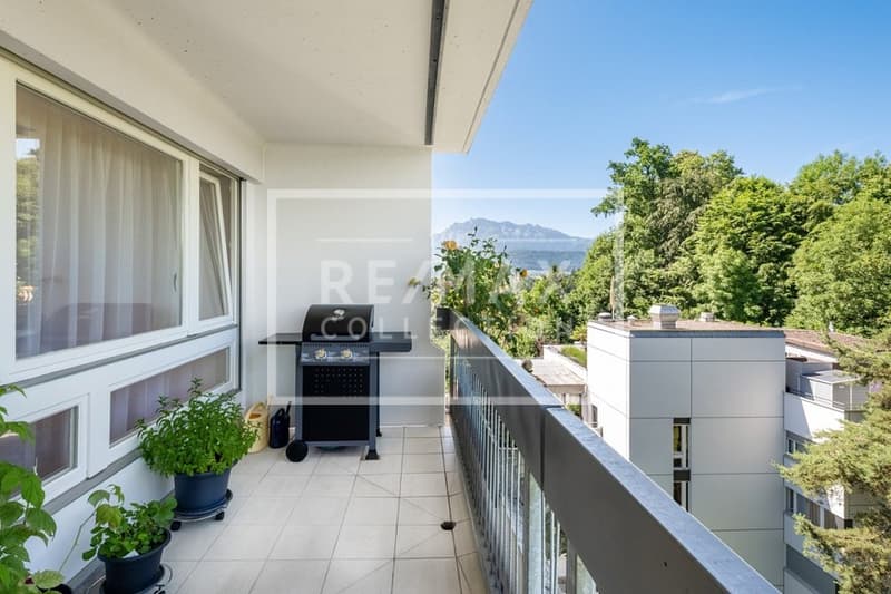 Appartement de 4,5 pièces modernisé avec terrasse sur le toit spectaculaire (8)