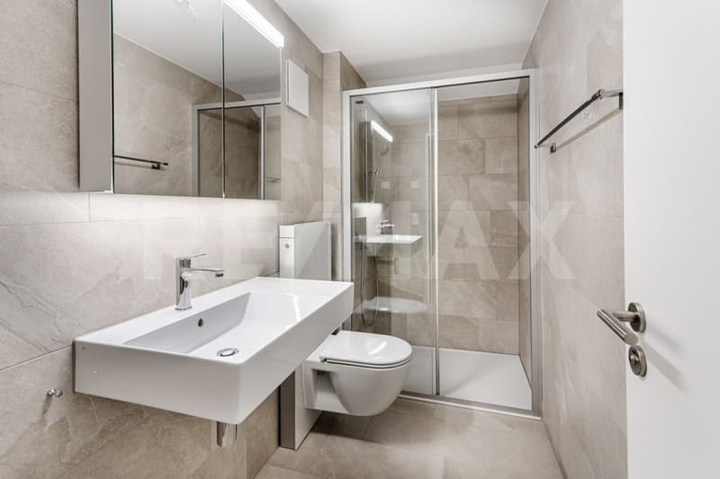Kernsanierte 3½-Zimmer-Wohnung im Dachgeschoss (WHG-301) (10)