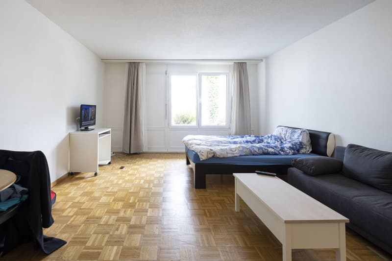 Komfortables Wohnen für alle Generationen: Erdgeschoss 1.5-Zimmer-Wohnung in Wangen bei Olten (1)