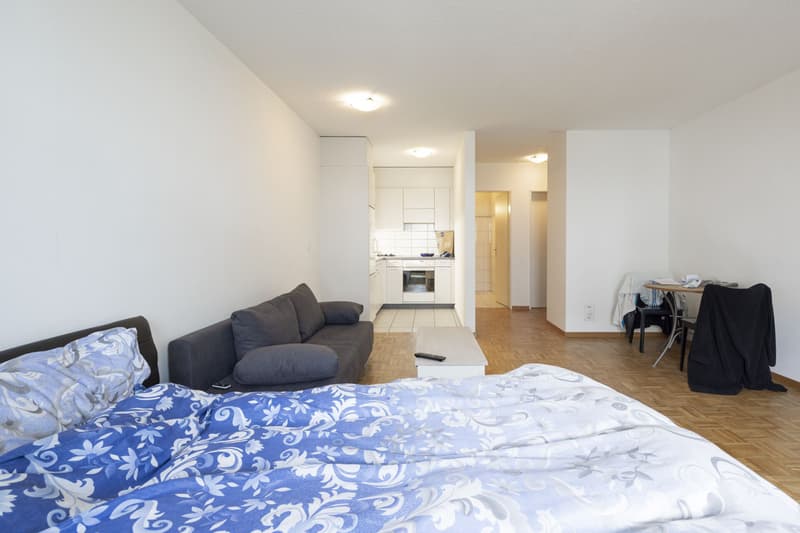 Komfortables Wohnen für alle Generationen: Erdgeschoss 1.5-Zimmer-Wohnung in Wangen bei Olten (2)