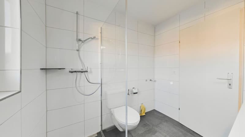 Pura relaxazione: appartamento di 4,5 locali con piscina e sauna comuni (11)