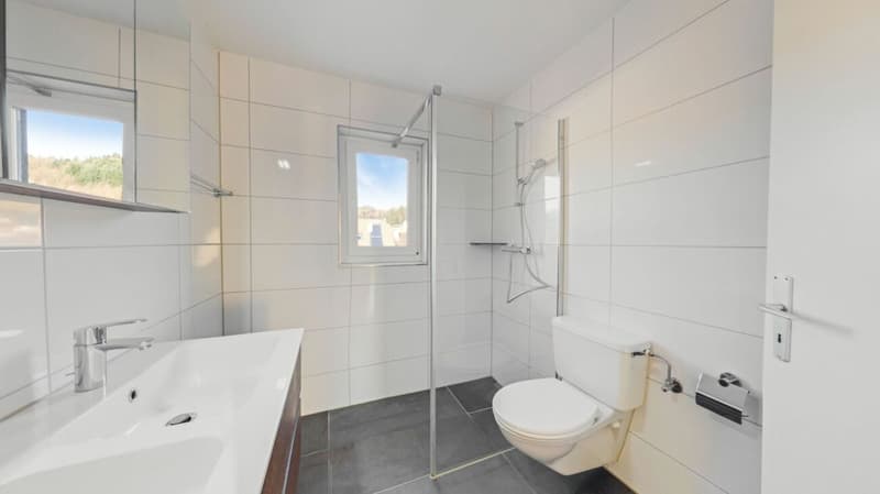 Pura relaxazione: appartamento di 4,5 locali con piscina e sauna comuni (12)