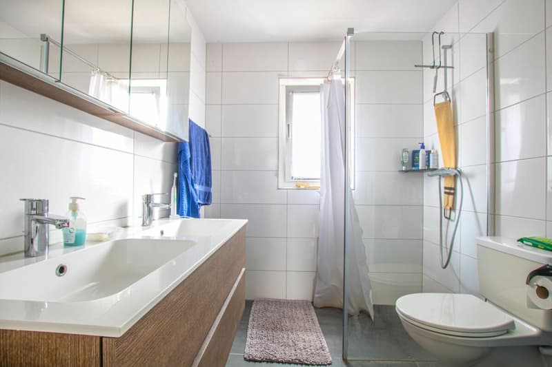 Pura relaxazione: appartamento di 4,5 locali con piscina e sauna comuni (17)