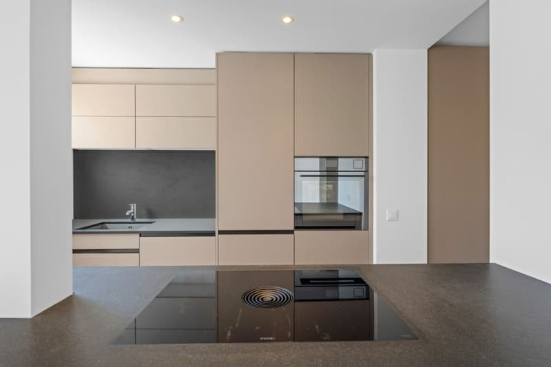 Top-modern and perfectly located, this apartment is a must-have (6)