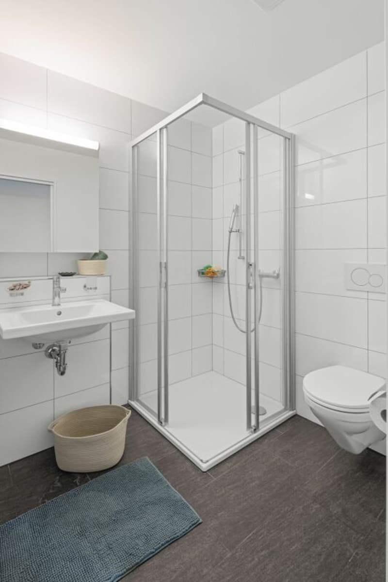 Sales launch: 8 modern 4.5-room apartments - garden & attic apartments (10)