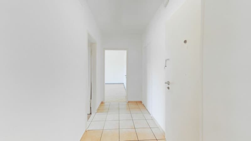 Appartement 3.5 pièces RDC à Meggen - Limité jusqu'au 31.05.2027 (3)