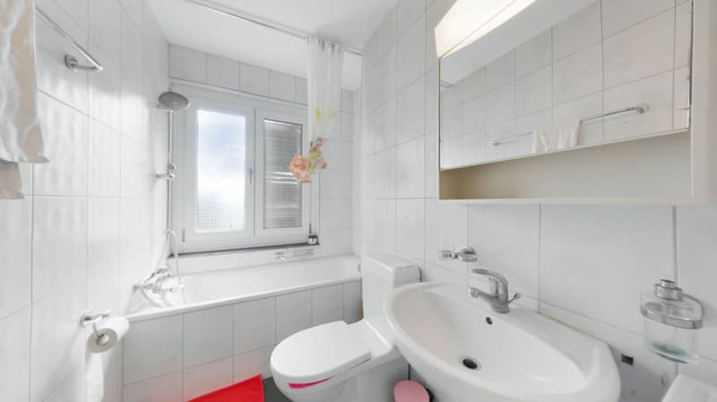 2.5-Zimmer-Wohnung 1.OG in Meggen - Befristet bis 31.05.2027 (6)