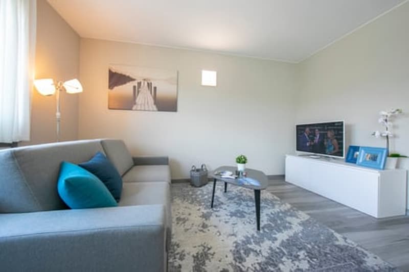 living room, gray couch, white table, TV on white entertainment center, picture frames, floor lamp, decorative plant