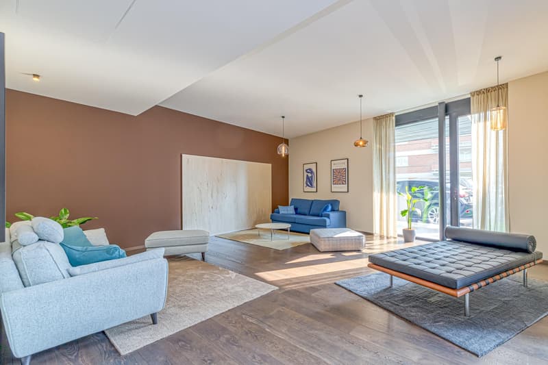 Appartamento Lugano Medium/Long Term Rental (14)