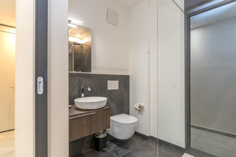 Appartamento Lugano Medium/Long Term Rental (8)