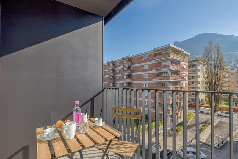 Appartamento Lugano Medium/Long Term Rental (13)