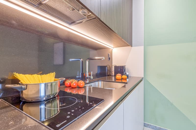 Appartamento Lugano Medium/Long Term Rental (5)
