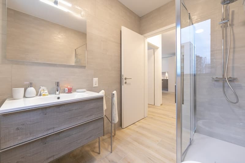 Vente d'appartement 2,5 pièces à Lugano - Élégance et Confort (11)