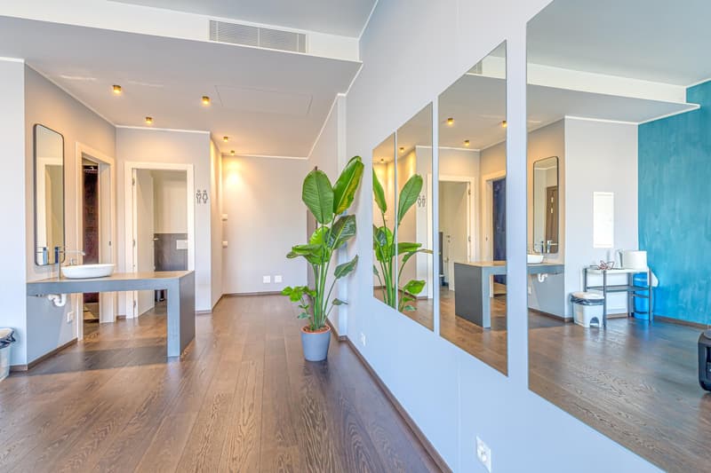 empty room, large mirrors, wooden floor, potted plant, bathroom sinks