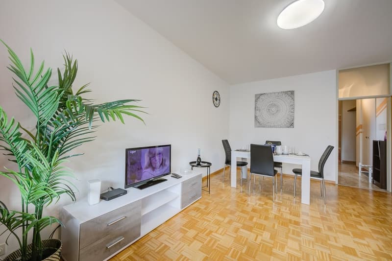 Gemütliche 2.5-Zimmer-Wohnung mit Balkon in Lugano (3)
