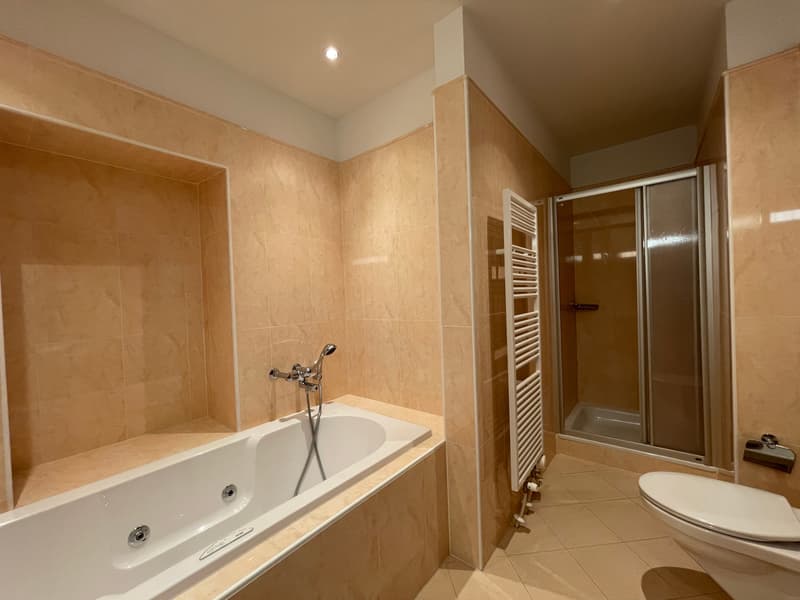 Location Appartement 3,5 Pièces dans Résidence Historique à Lugano – Centre-Ville (14)