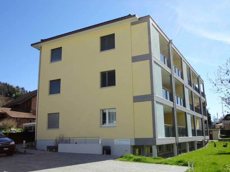 Ampio spazio commerciale in posizione centrale (5)