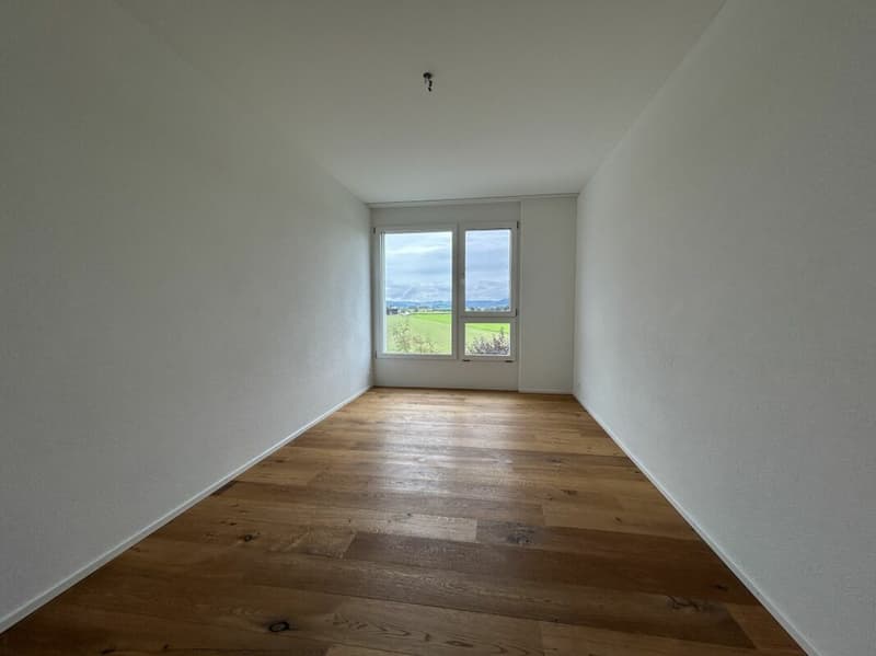 Moderne 3.5-Zimmerwohnung mit Seesicht (4)