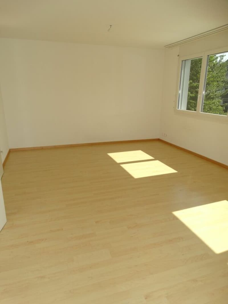 Vivere in uno standard di proprietà con questo spazioso appartamento di 4,5 locali (5)