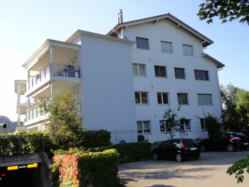 Vivere in uno standard di proprietà con questo spazioso appartamento di 4,5 locali (10)