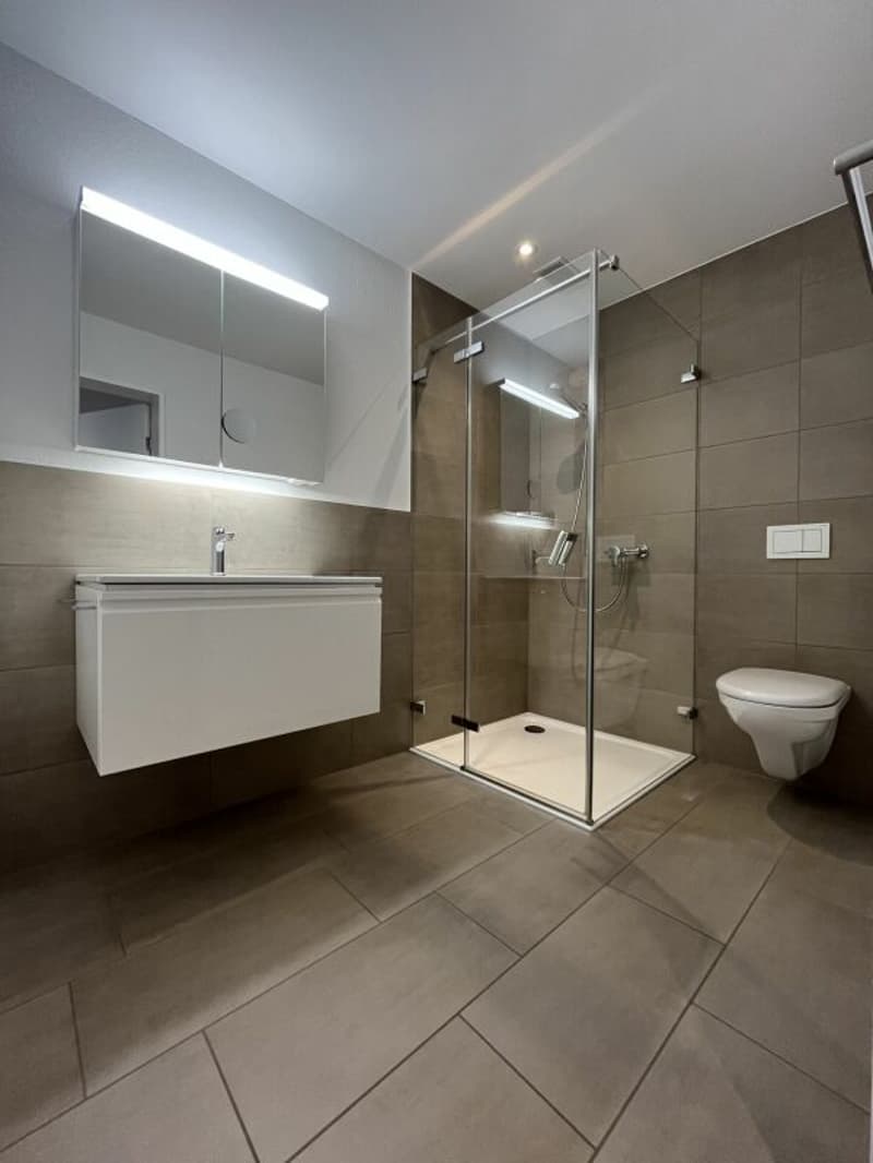 Appartamento moderno 2.5 locali (2)