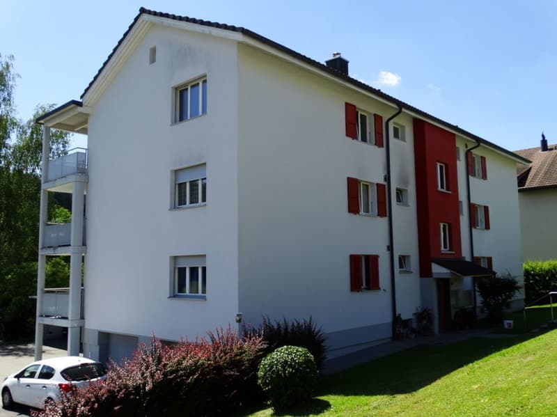 Appartamento attraente e conveniente di 4,5 locali (8)