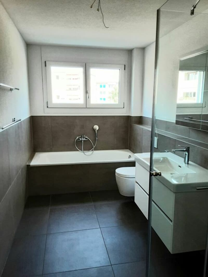 Ampio appartamento 3.5 locali con area erbosa (4)