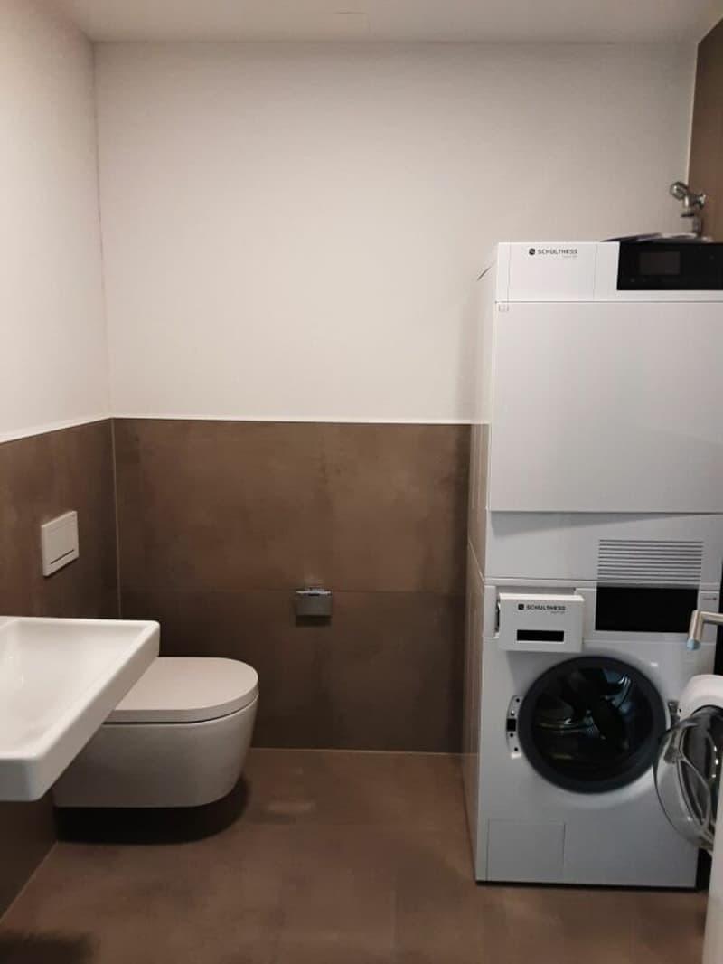 Ampio appartamento 3.5 locali con area erbosa (5)
