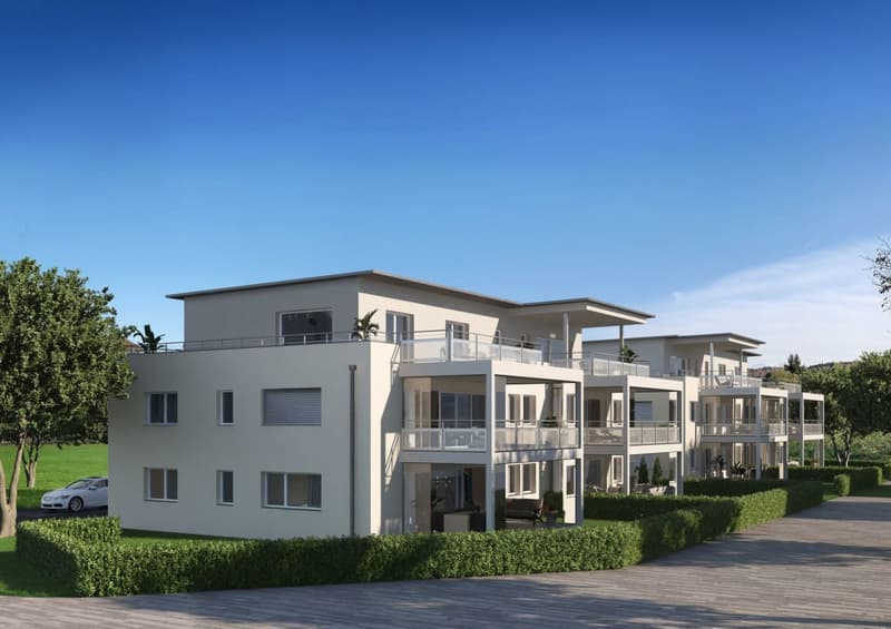 Ampio appartamento 3.5 locali con area erbosa (8)