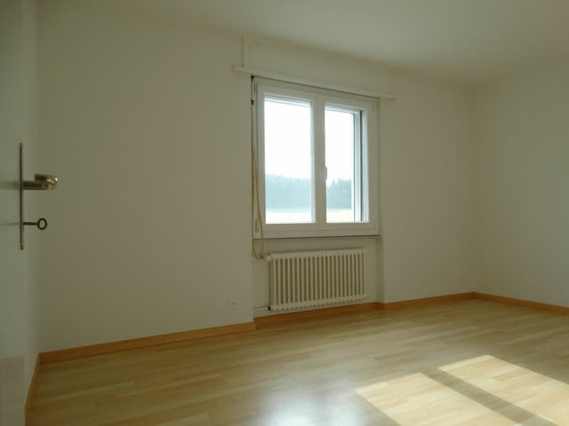 Bright 4.5-room apartment in Fischbach (4)
