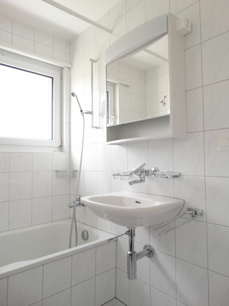 Bright 4.5-room apartment in Fischbach (7)