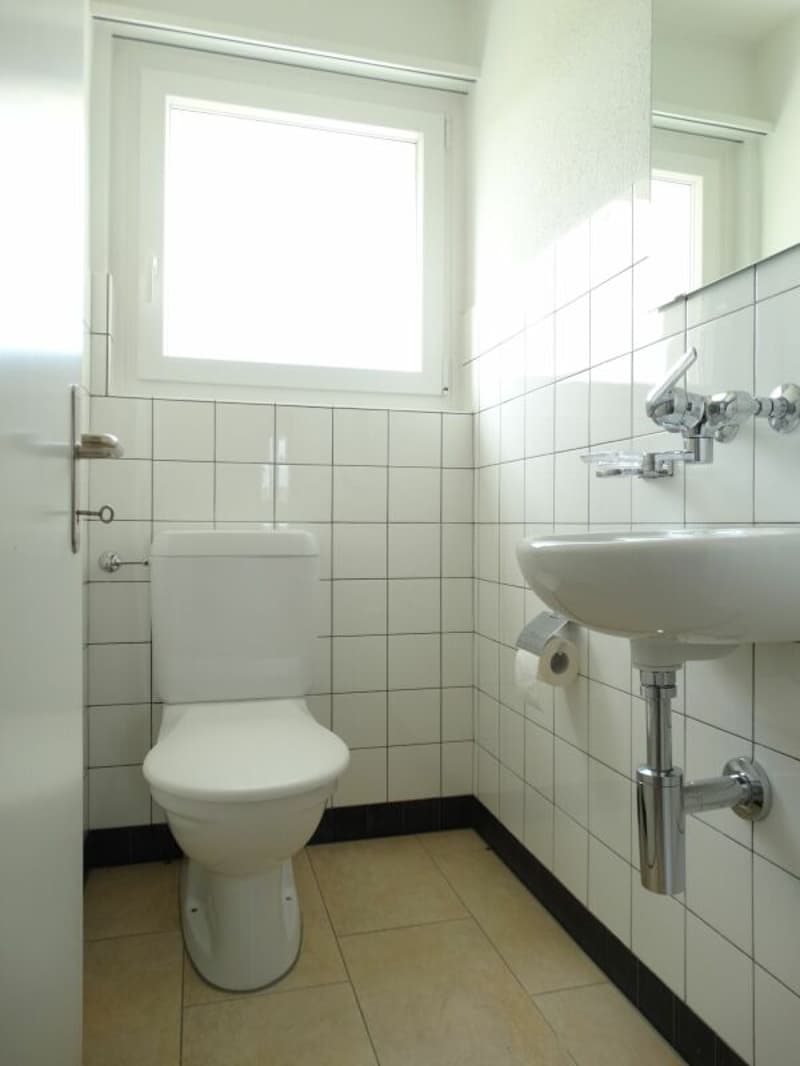 Bright 4.5-room apartment in Fischbach (6)