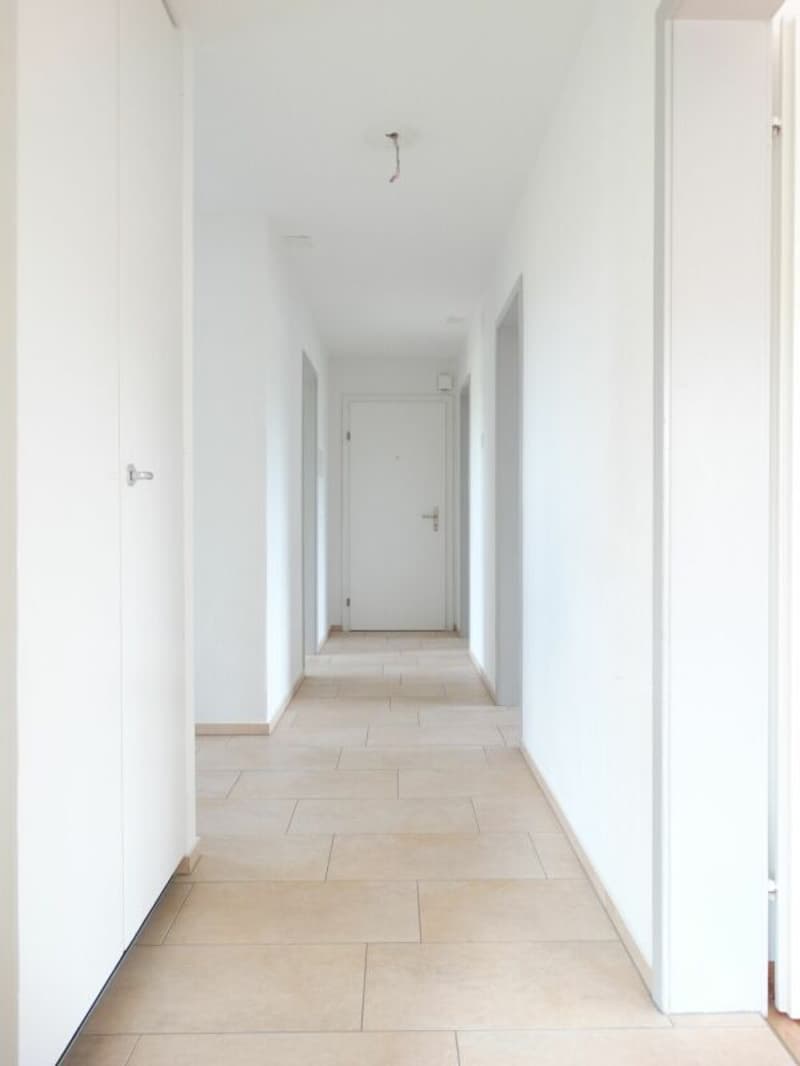 Bright 4.5-room apartment in Fischbach (8)