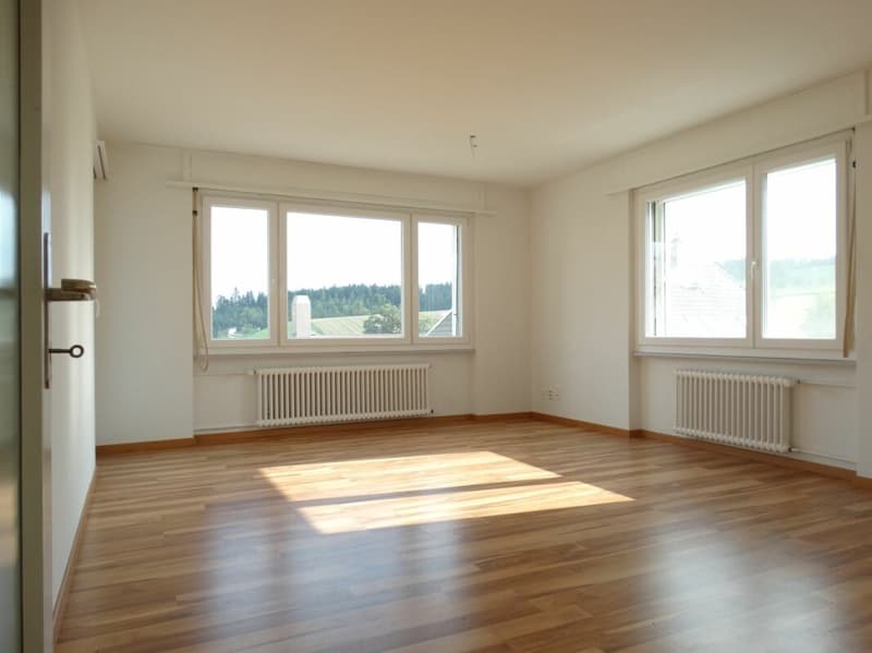 Bright 4.5-room apartment in Fischbach (3)