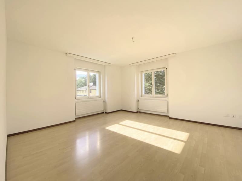 Spacious 3.5-room apartment on the high ground floor (3)