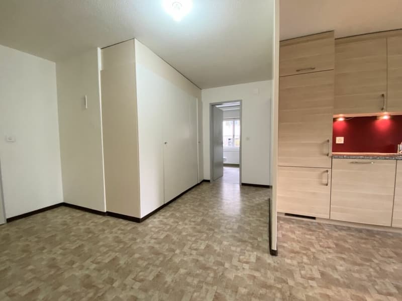 Spacious 3.5-room apartment on the high ground floor (2)