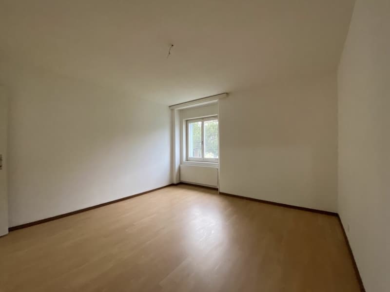 Spacious 3.5-room apartment on the high ground floor (5)
