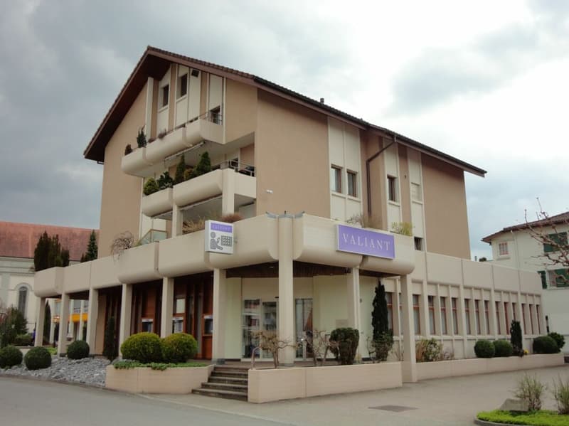Affordable 4.5-room apartment in the heart of Schötz (9)
