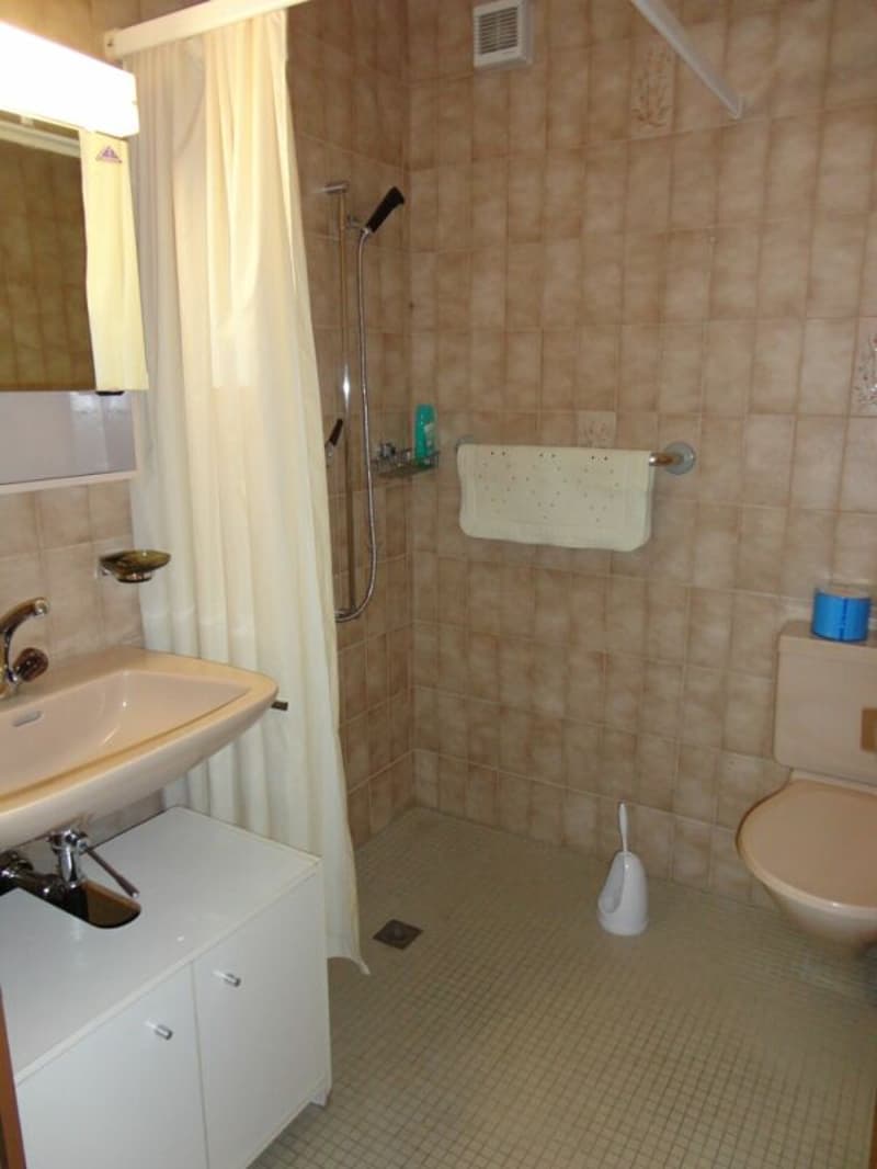 Affordable 4.5-room apartment in the heart of Schötz (7)