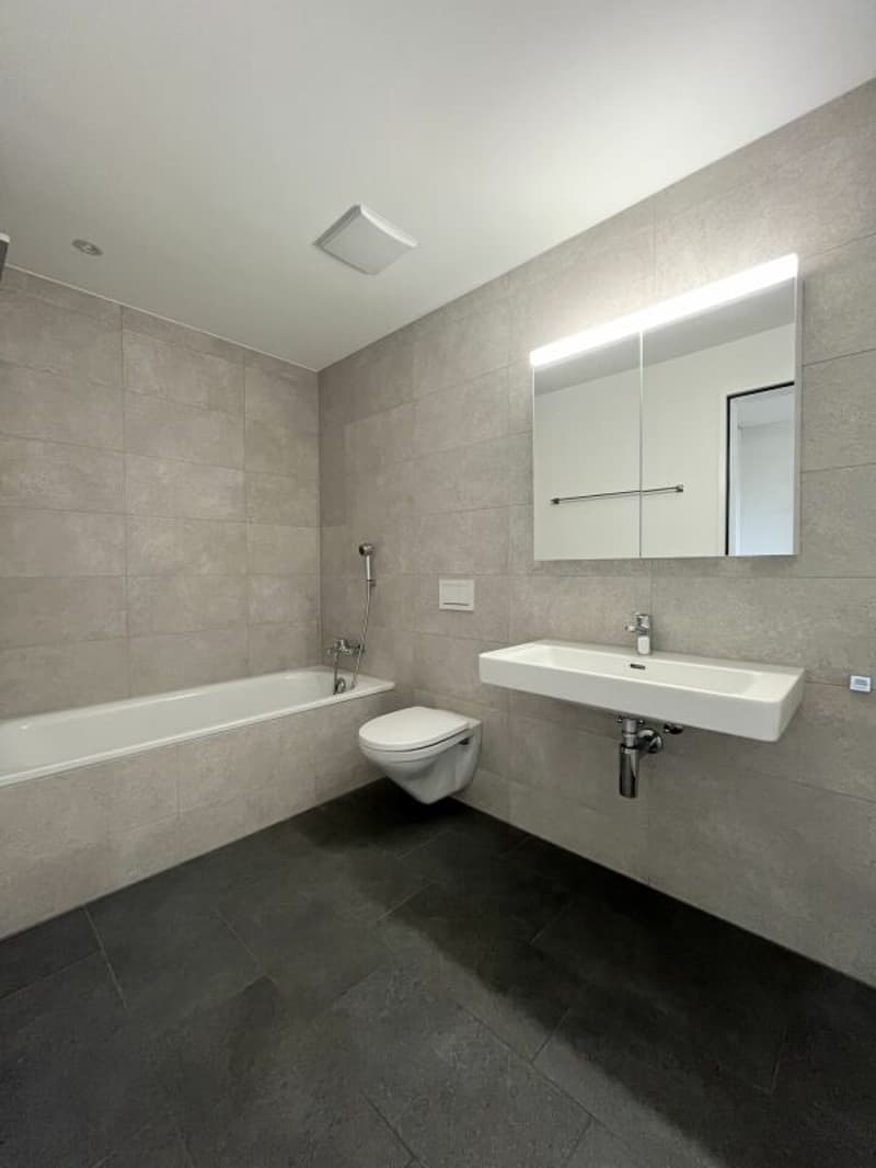 Modern 3.5-room apartment in the heart of Dagmersellen (5)