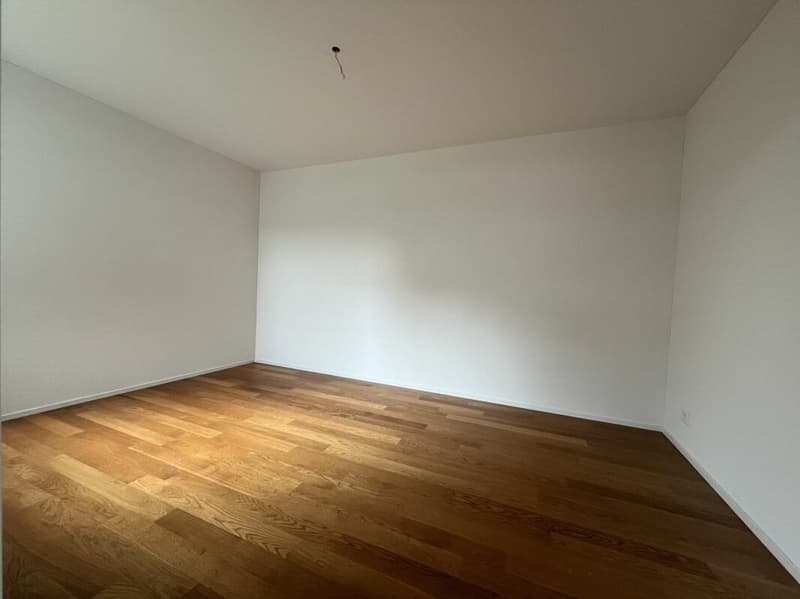 Modern 3.5-room apartment in the heart of Dagmersellen (4)