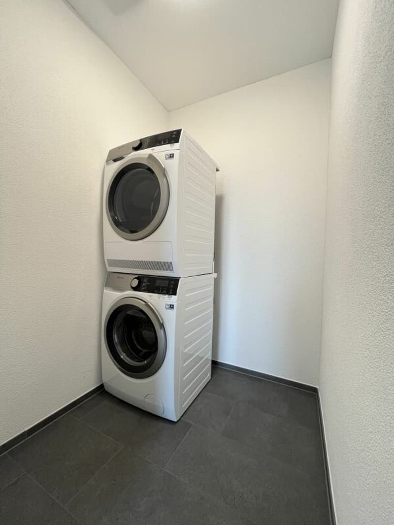 Modern 3.5-room apartment in the heart of Dagmersellen (7)