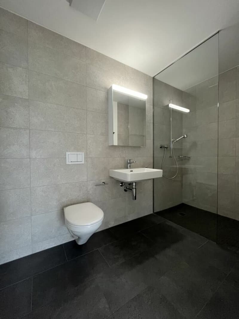 Modern 3.5-room apartment in the heart of Dagmersellen (6)