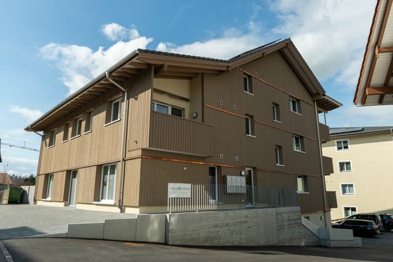 Appartamento attraente di 2,5 locali in posizione ottimale (8)