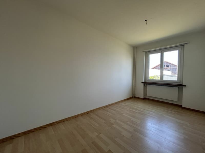 Incantevole appartamento 3.0 locali al 1° piano (4)