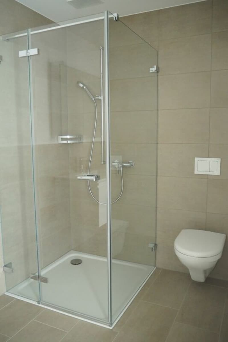 Appartamento moderno di 2,5 locali (5)